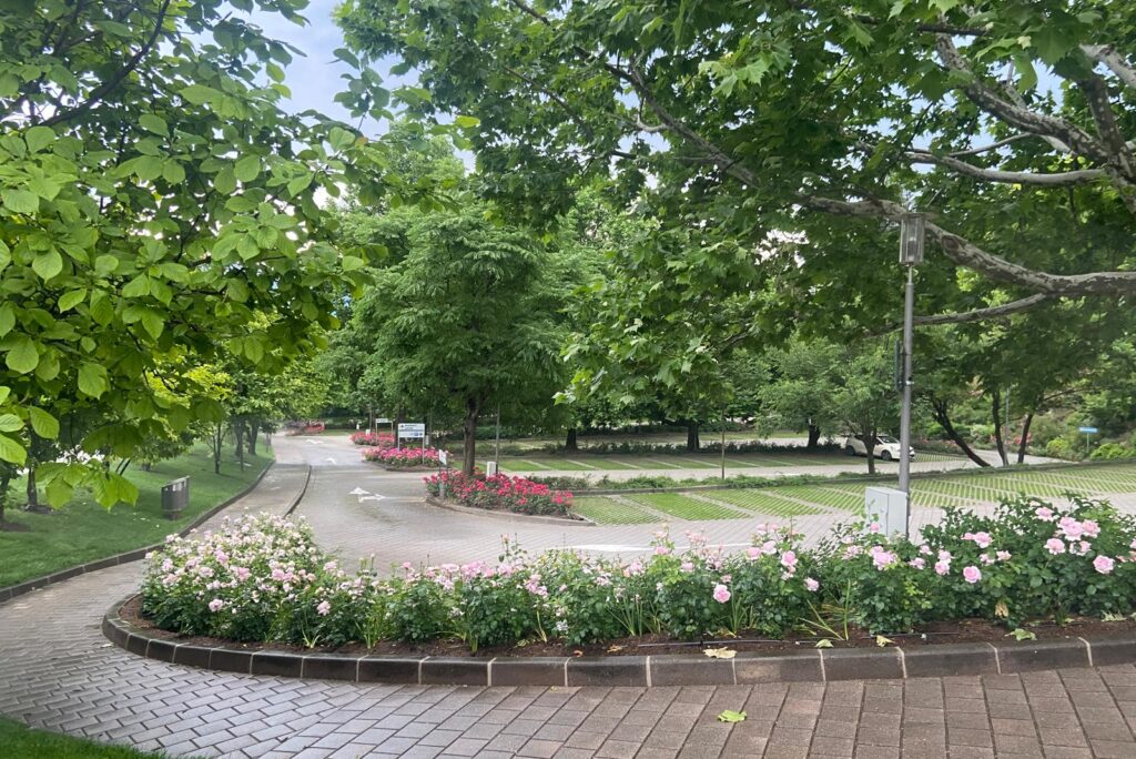 GratisParkplatz