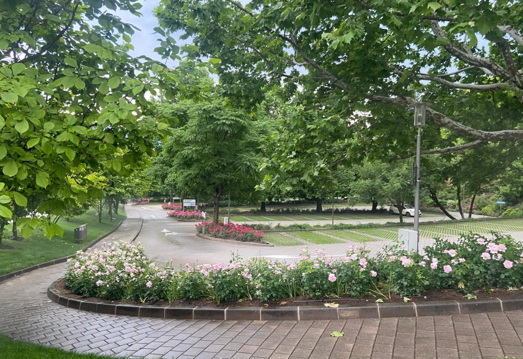 GratisParkplatz