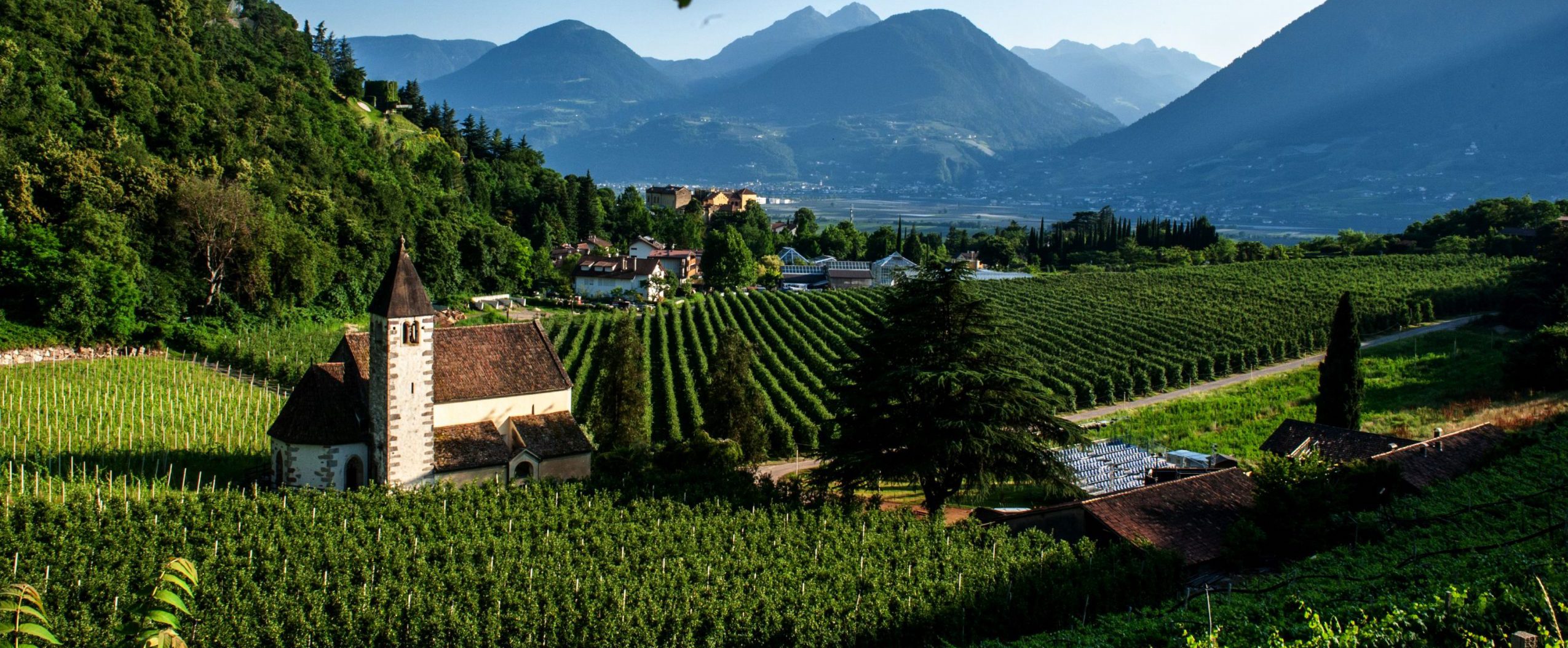 Meraner-Festspiele-2025_Der-grosse-Aufbruch-von-Luis-Zagler_Foto-Matthias-Brommann-5439_1-scaled